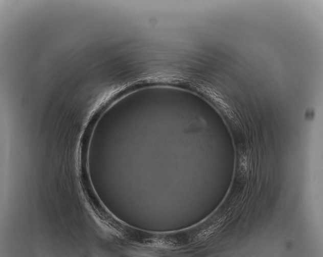 X0000095960678200801181446