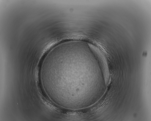 X0000095960679200801181446