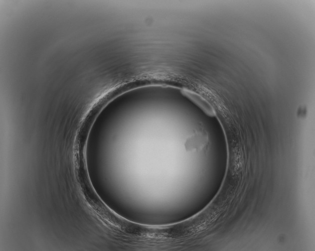 X0000095960680200801181446