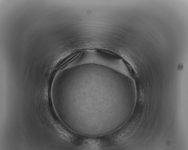 X0000095960681200801181446