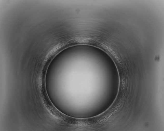 X0000095960682200801181446