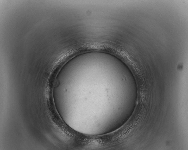 X0000095960683200801181445