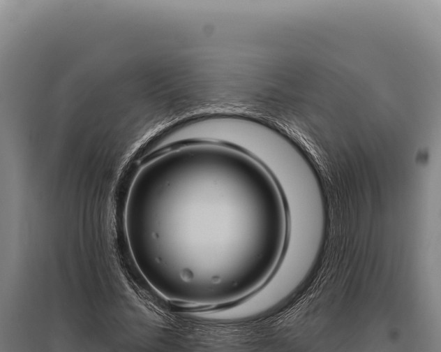 X0000095960684200801181445