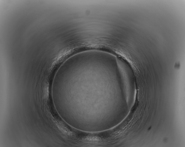 X0000095960685200801181445