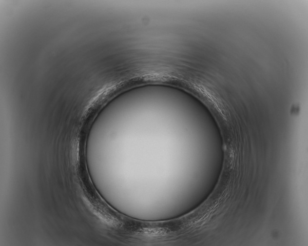 X0000095960686200801181445