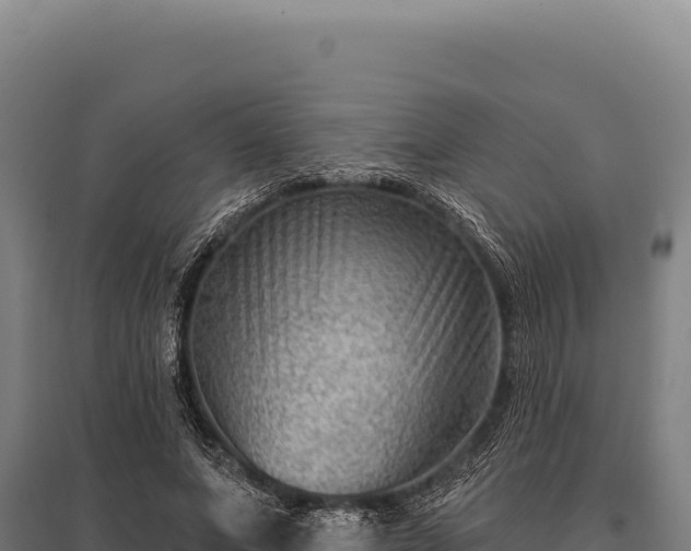 X0000095960687200801181445