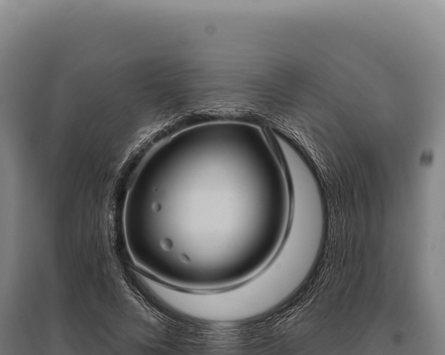 X0000095960688200801181445