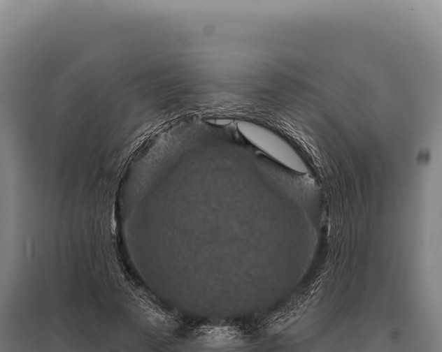 X0000095960689200801181445