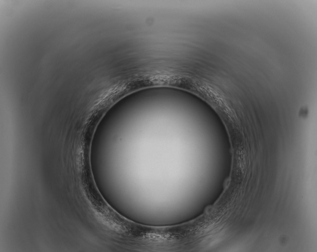 X0000095960690200801181445