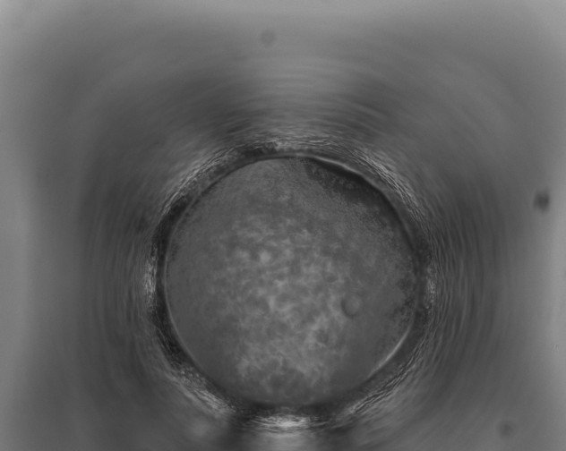 X0000095960691200801181445