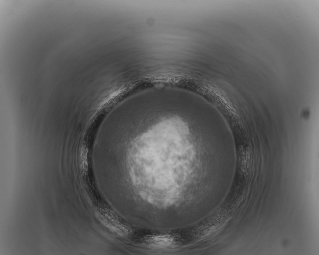 X0000095960692200801181445