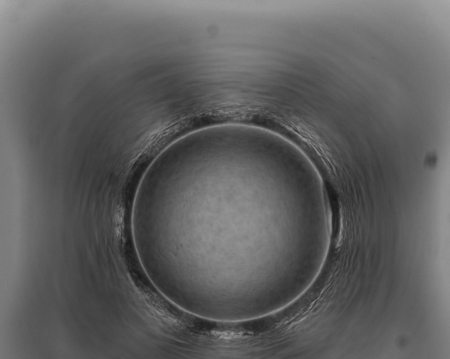 X0000095960693200801181445