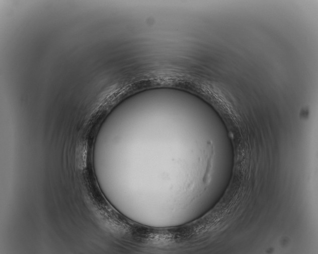 X0000095960694200801181445