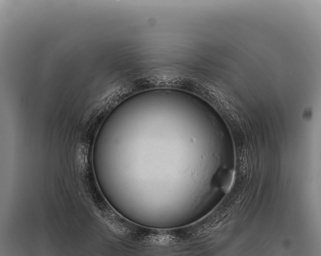 X0000095960695200801181445