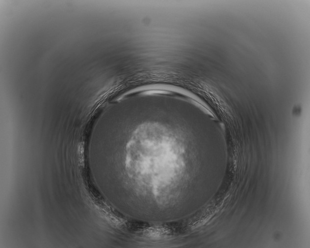 X0000095960696200801181445