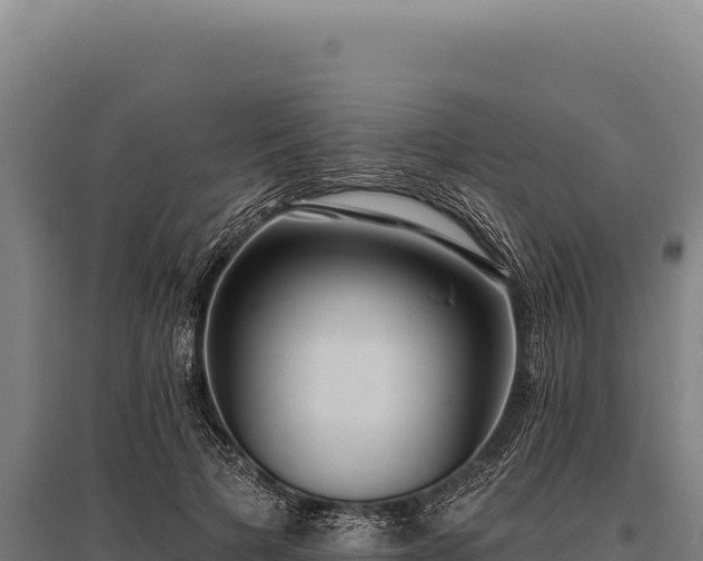 X0000095960697200801181445