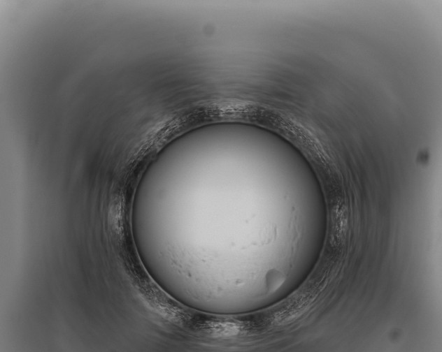 X0000095960698200801181445