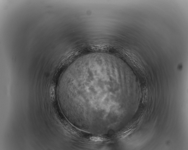 X0000095960699200801181445