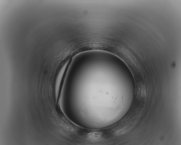 X0000095960700200801181445