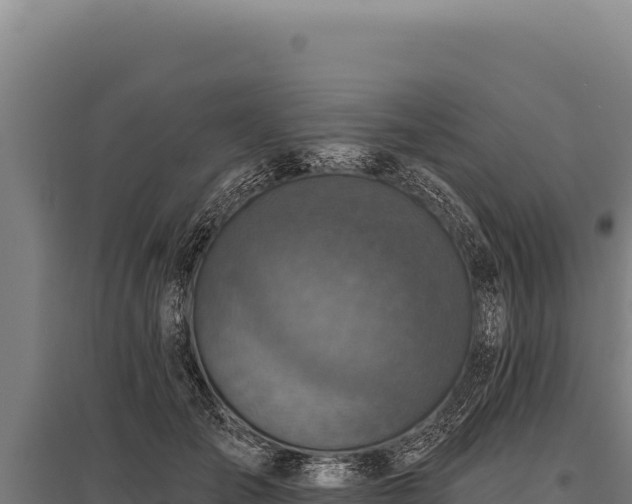 X0000095960701200801181445