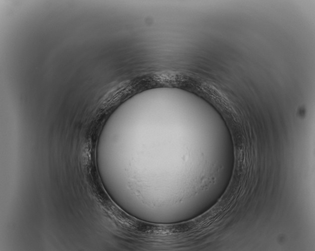 X0000095960702200801181445