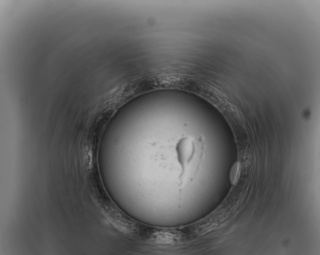 X0000095960703200801181445