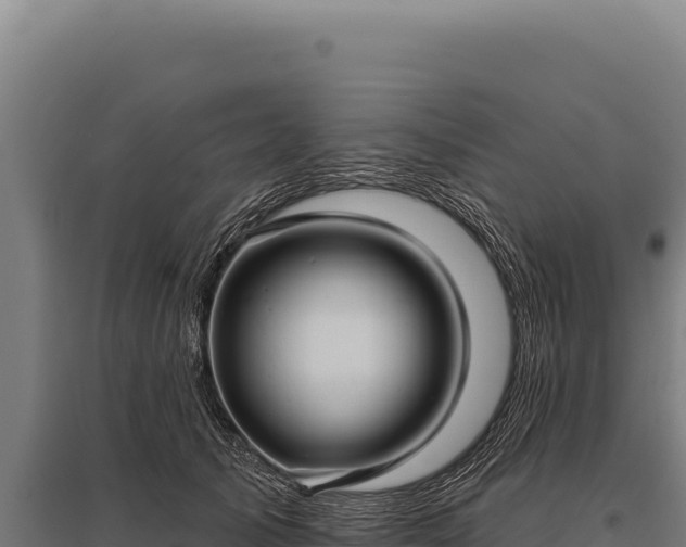 X0000095960705200801181445