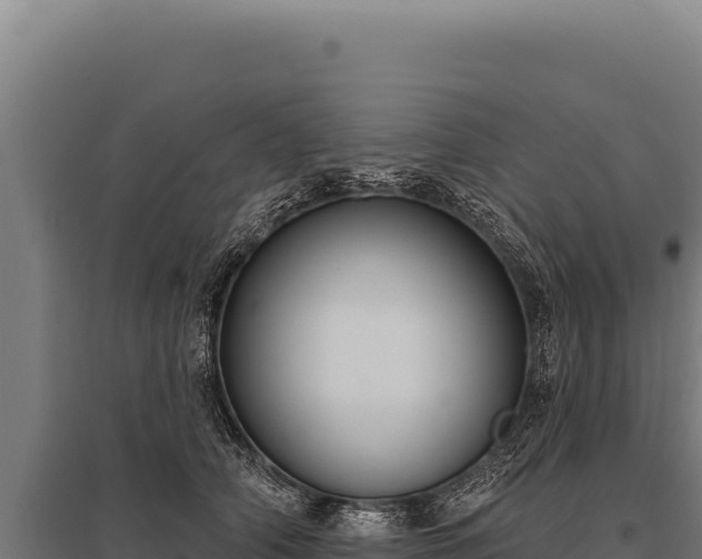 X0000095960706200801181445