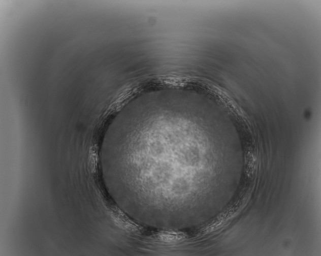 X0000095960707200801181445