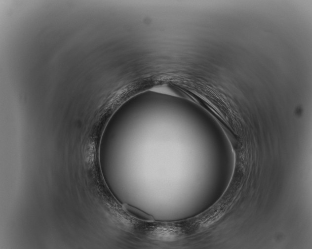 X0000095960708200801181445