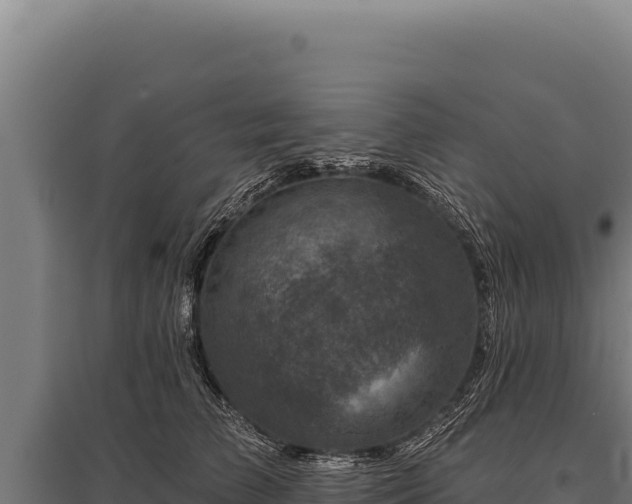 X0000095960709200801181445