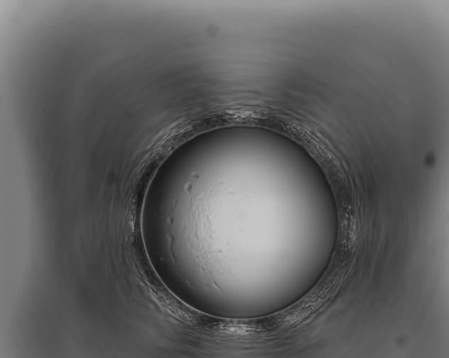 X0000095960710200801181445