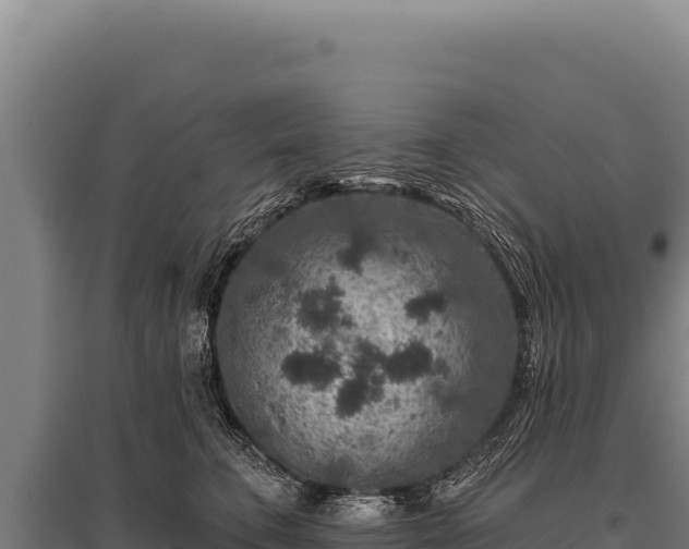 X0000095960711200801181445