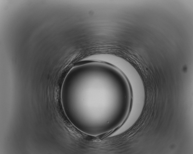 X0000095960712200801181445