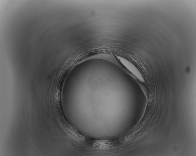 X0000095960713200801181445