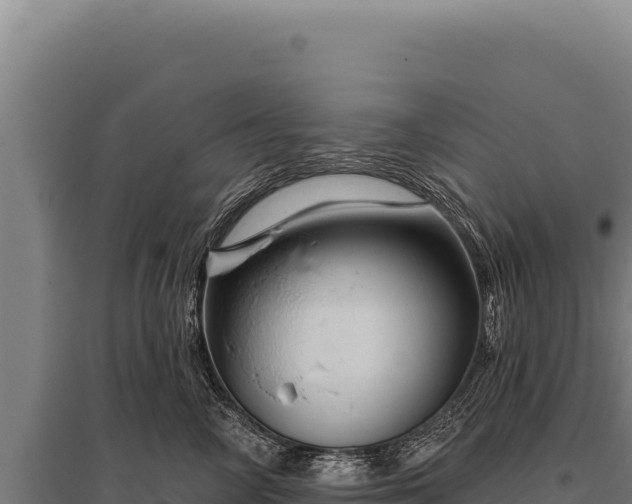 X0000095960714200801181445