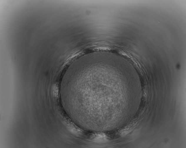 X0000095960715200801181445