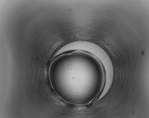 X0000095960716200801181445