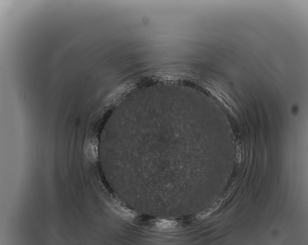 X0000095960718200801181445