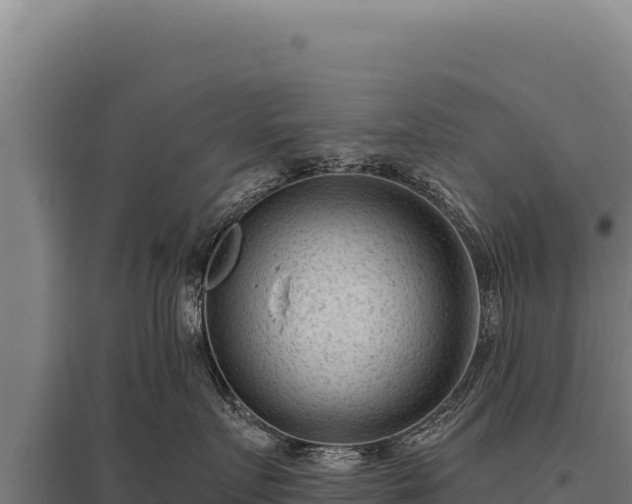 X0000095960719200801181445