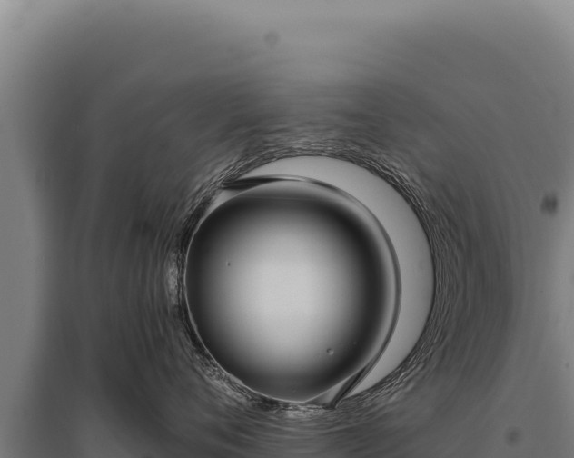 X0000095960720200801181445