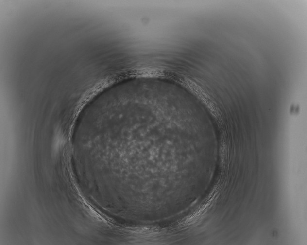 X0000095960721200801181444