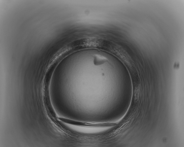 X0000095960722200801181444