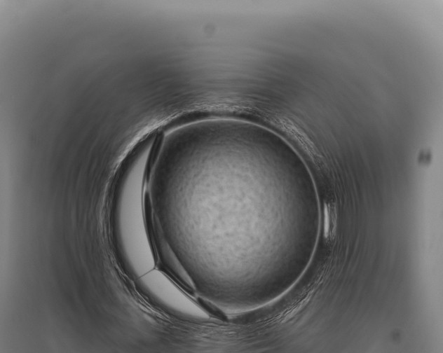 X0000095960723200801181444