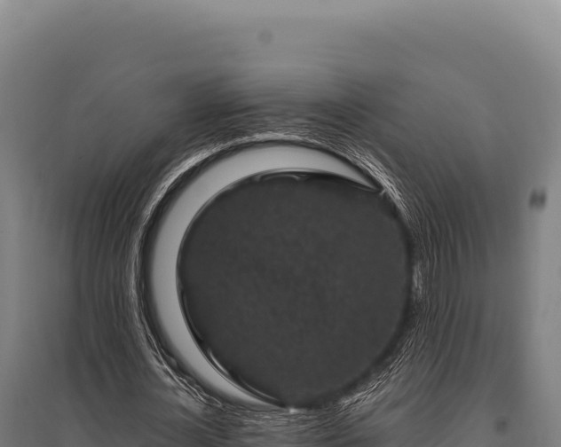 X0000095960724200801181444