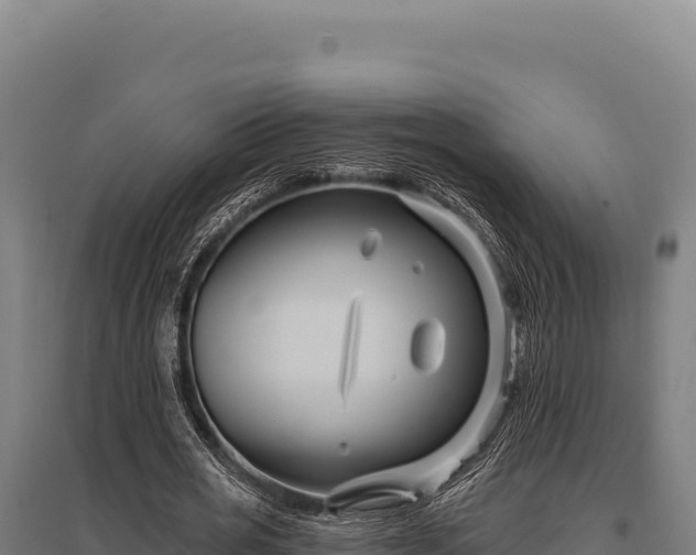 X0000095960725200801181444