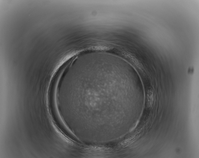 X0000095960726200801181444