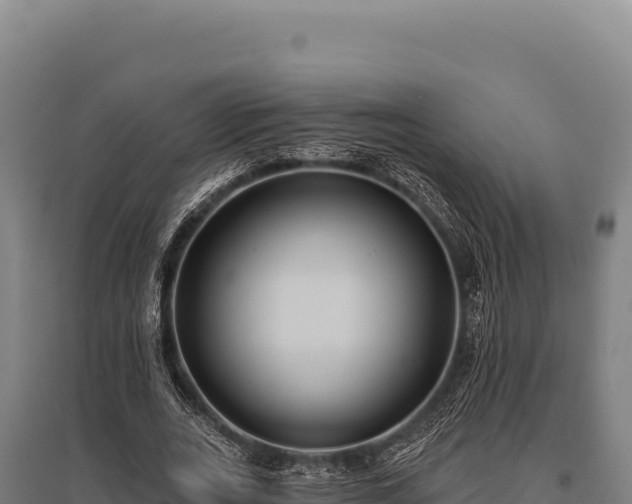 X0000095960727200801181444