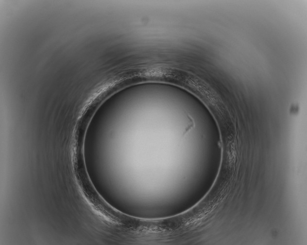 X0000095960728200801181444