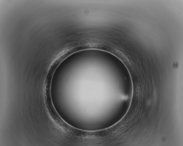 X0000095960730200801181444